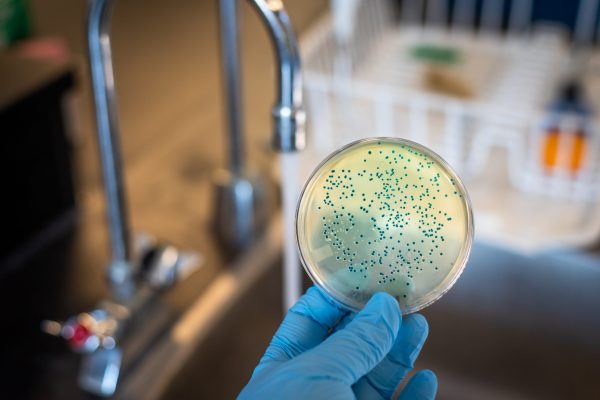 water-contamination-with-e-coli-2024-11-26-15-10-37-utc